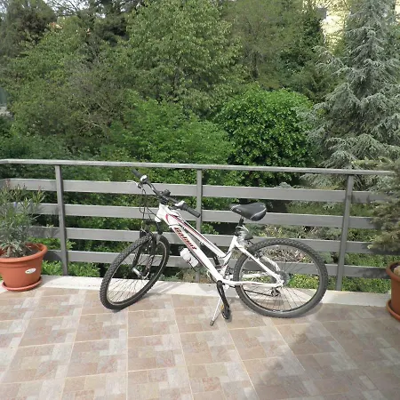 La Casa Tra Gli Alberi Fiuggi